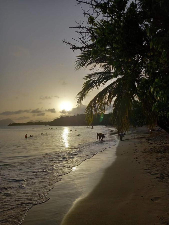 Studio Des Flots - Tartane Martinique La Trinité Exterior foto